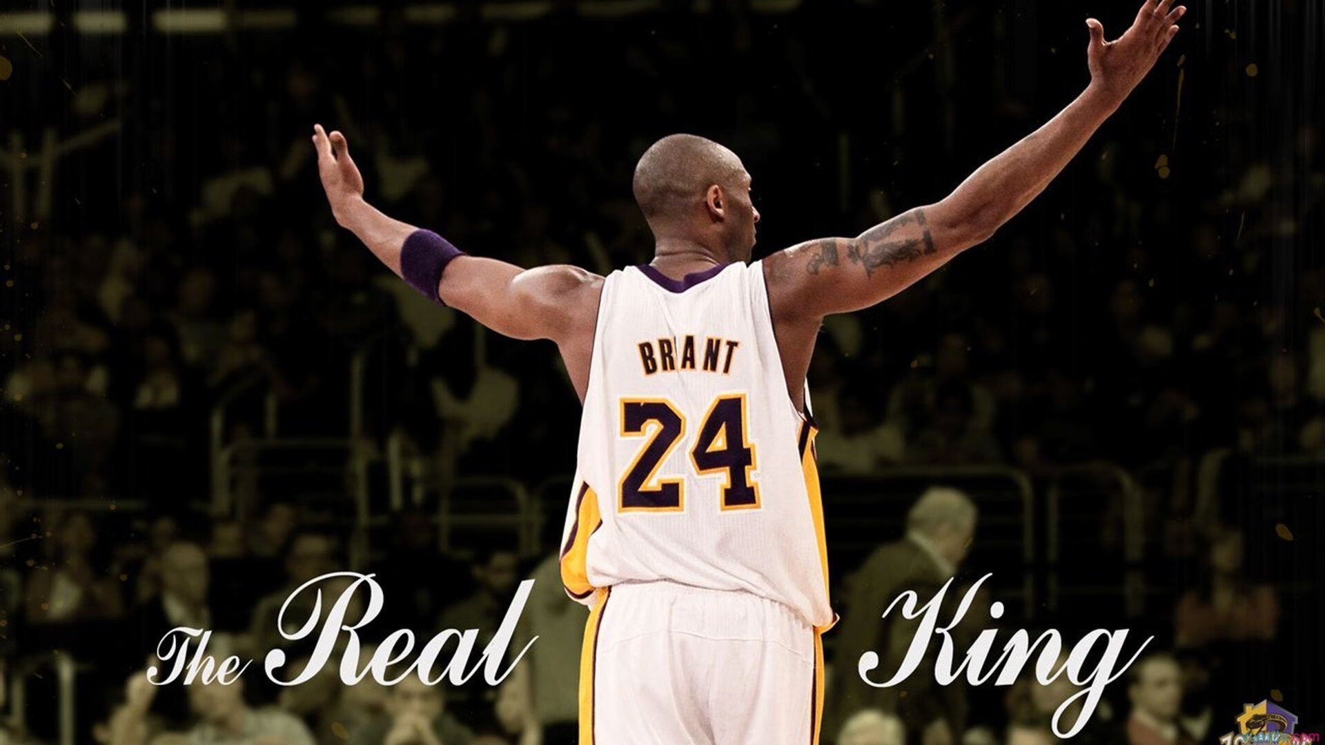 _场馆盛大开放，举办多项国际赛事_，国际比赛中场馆高度可以设置为( )